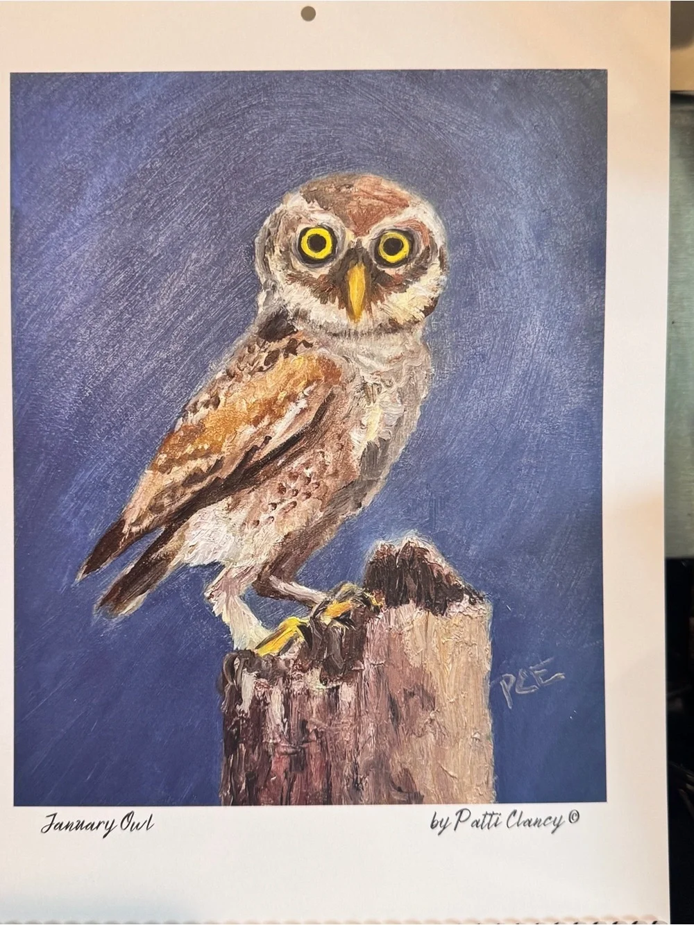 12 Birds of the Month for Framing or Crafting original oil paintings P. Clancy